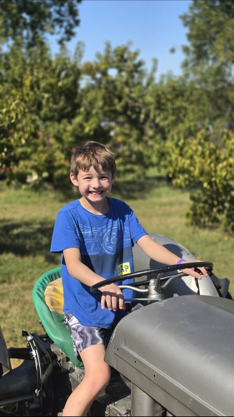 A smiling boy sits on a tractor during an orchard visit.